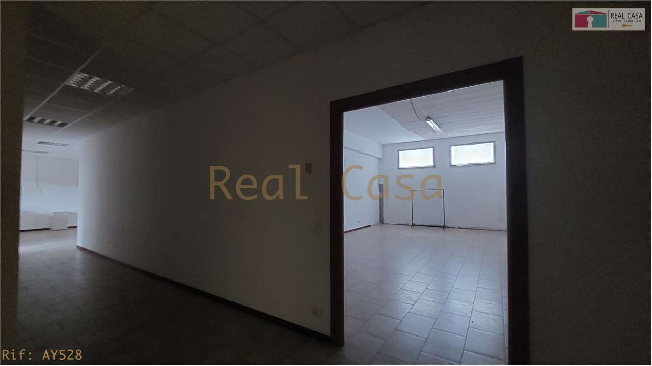 Foto annuncio 31