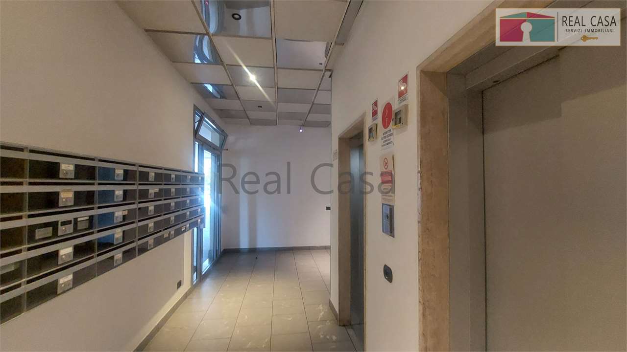Foto annuncio 7