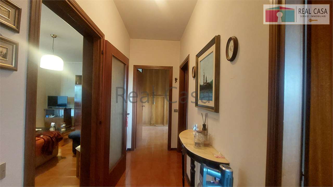 Foto annuncio 12
