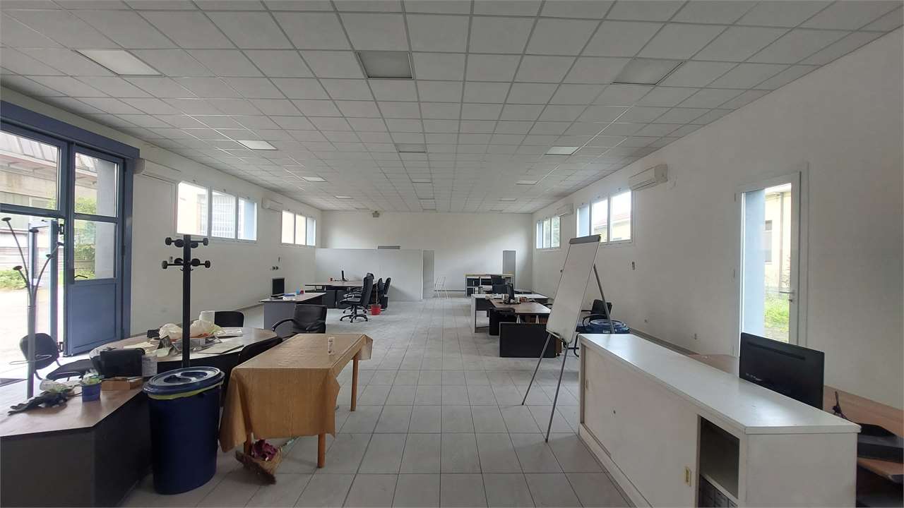 Foto annuncio 6