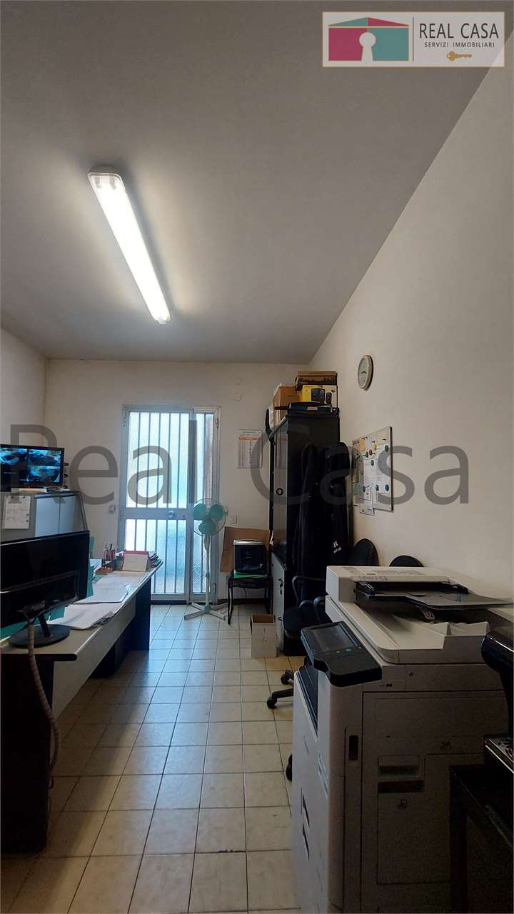 Foto annuncio 14