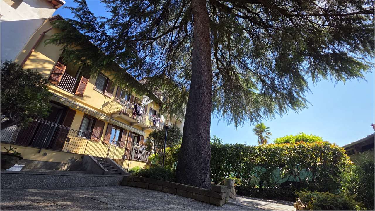 Foto annuncio 10