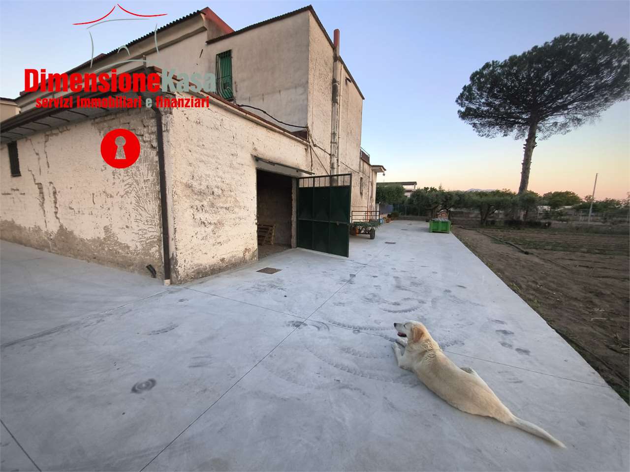 Foto annuncio 2