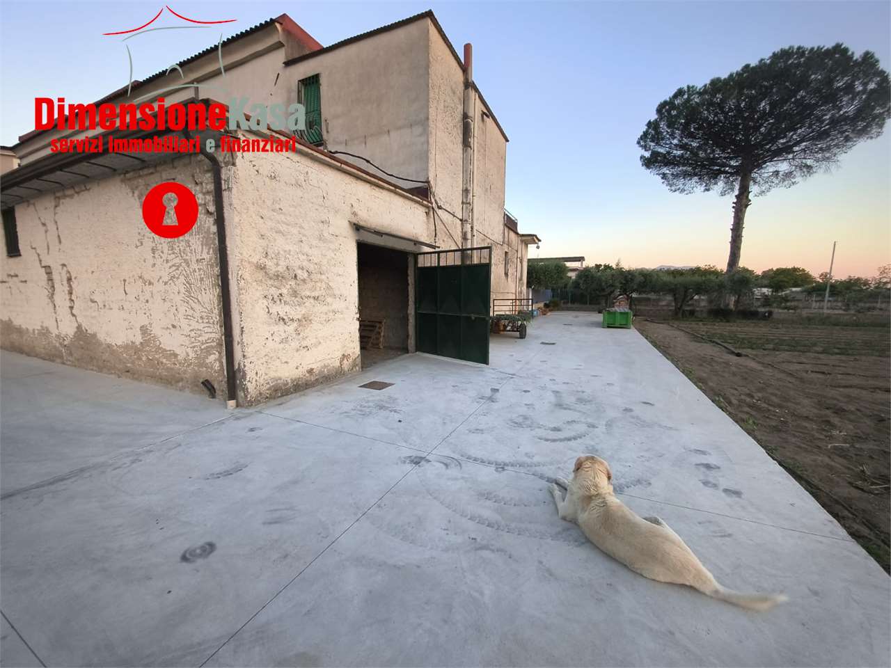 Foto annuncio 3
