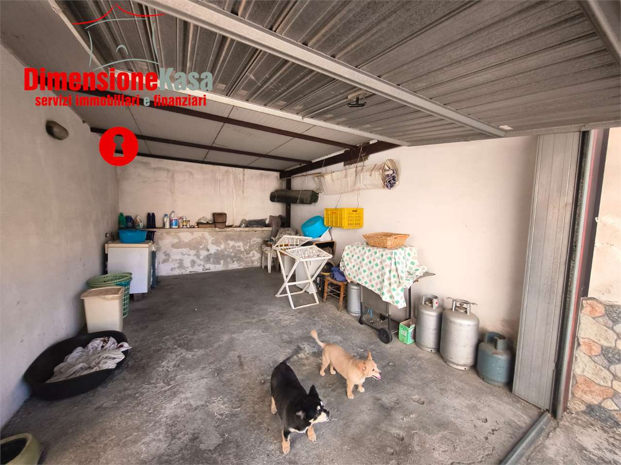 Foto annuncio 36