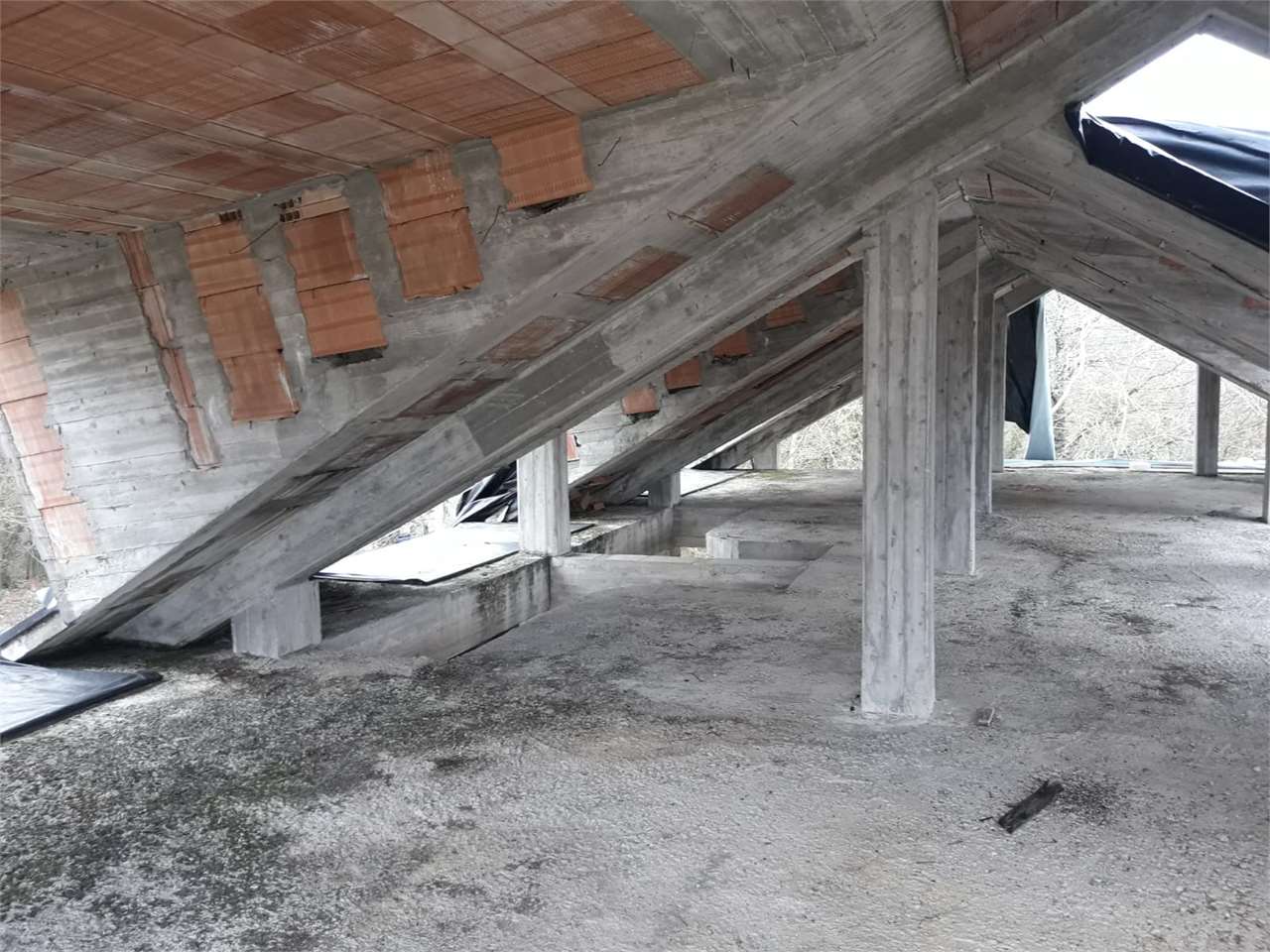 Foto annuncio 11