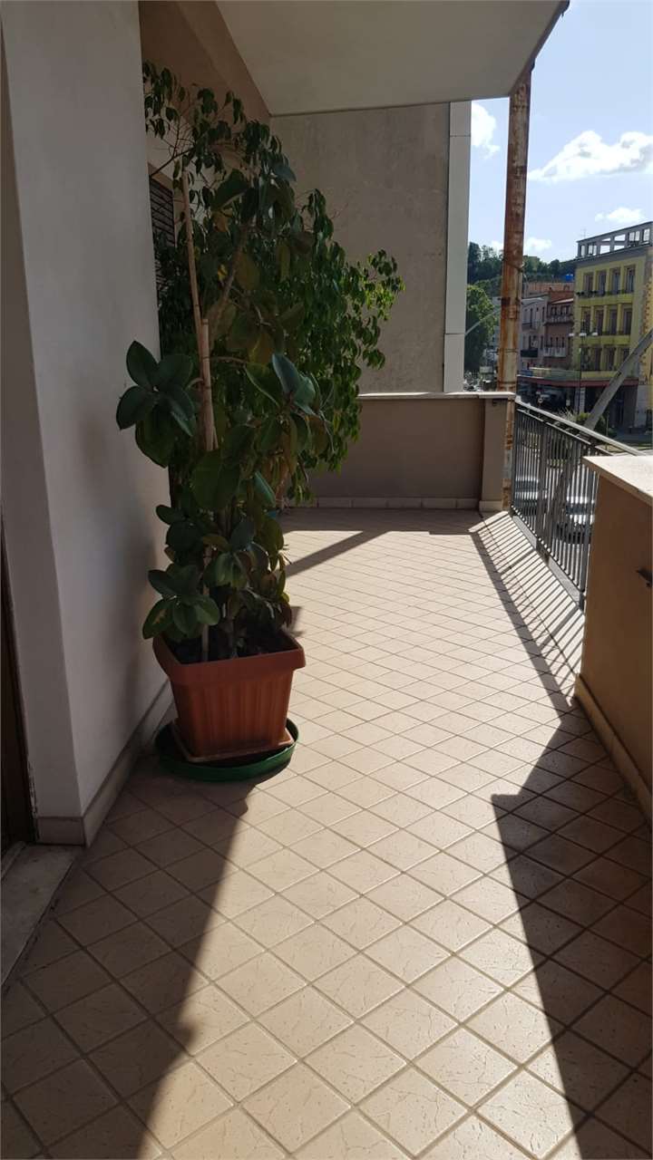 Foto annuncio 10