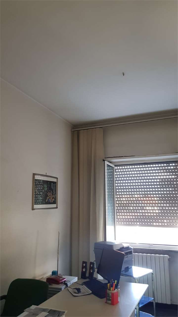 Foto annuncio 13