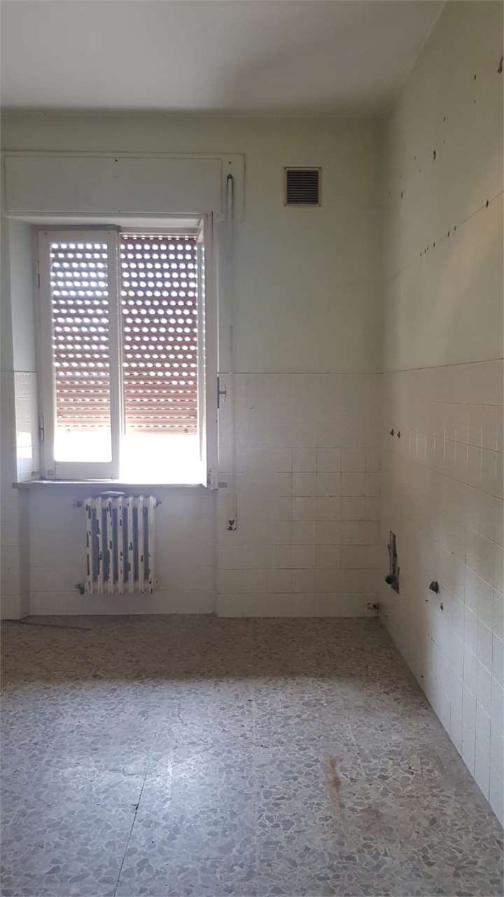 Foto annuncio 10