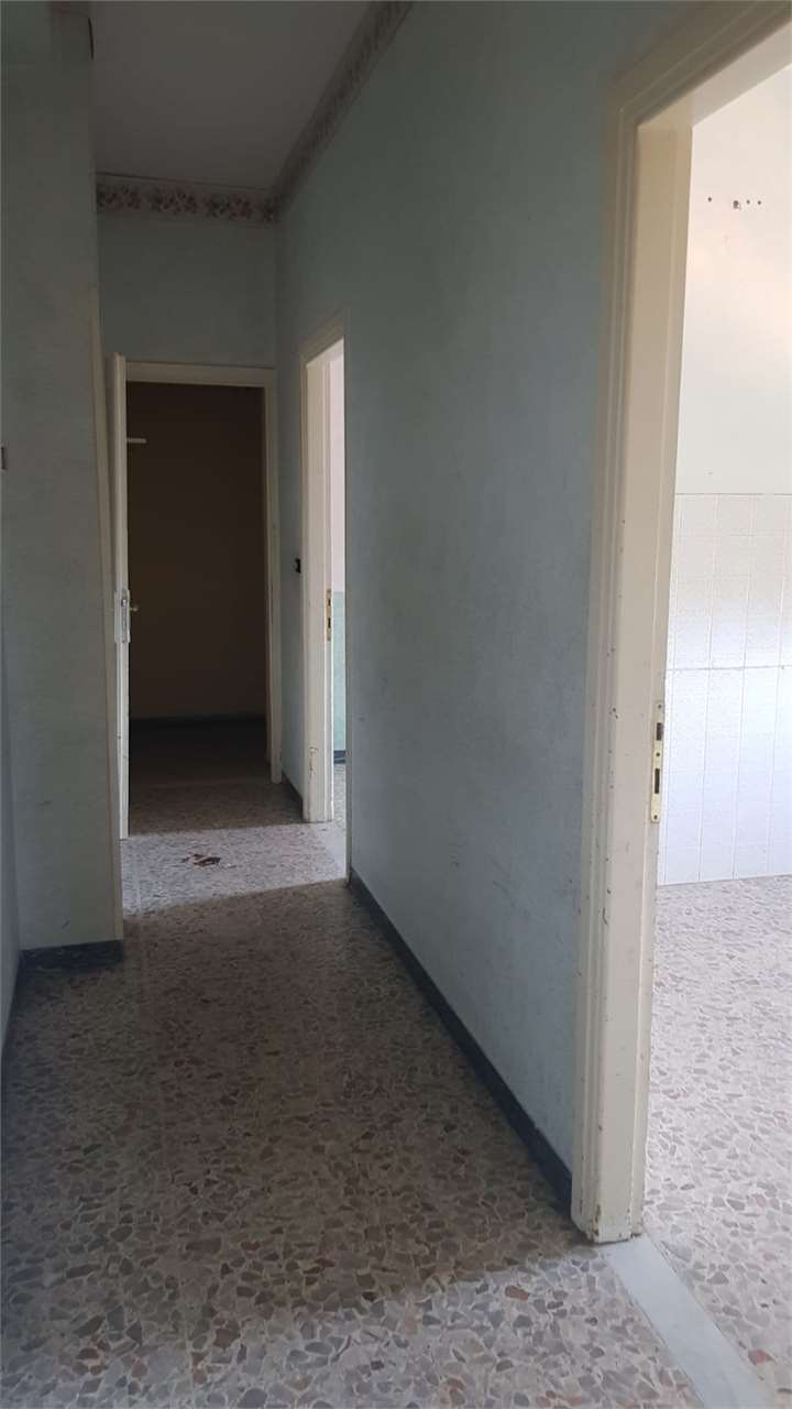 Foto annuncio 11