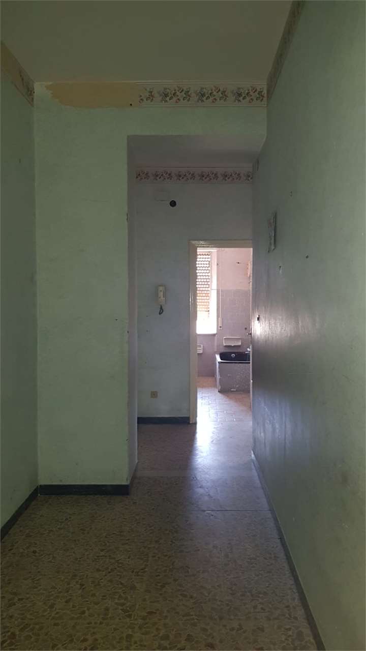 Foto annuncio 17
