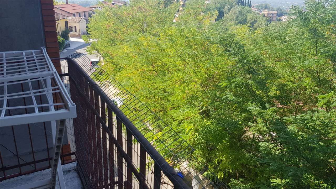Foto annuncio 23