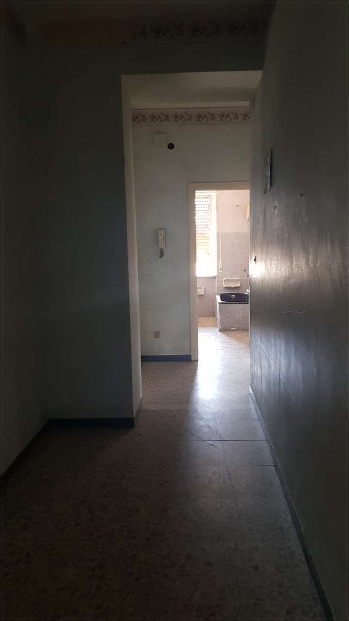 Foto annuncio 31