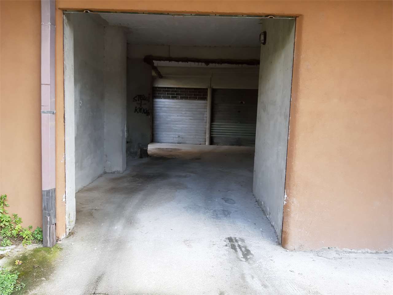 Foto annuncio 1