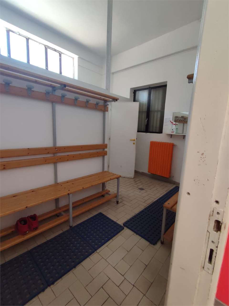 Foto annuncio 5