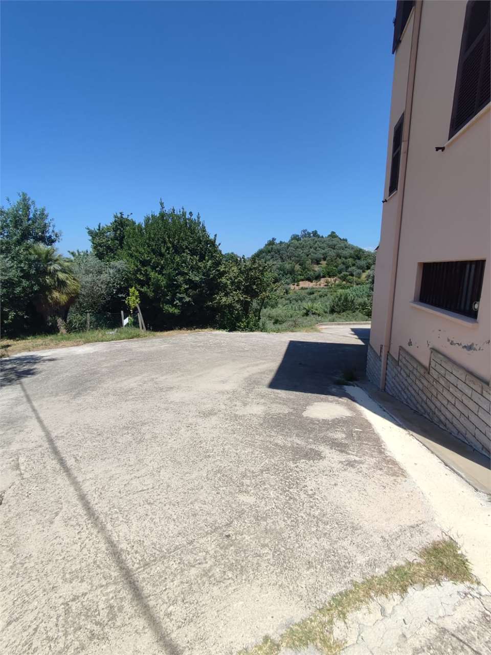 Foto annuncio 9