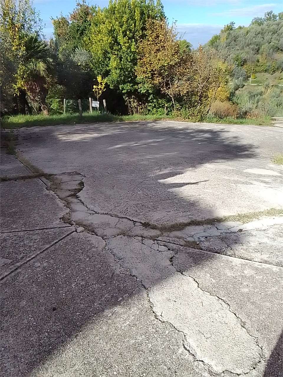 Foto annuncio 11