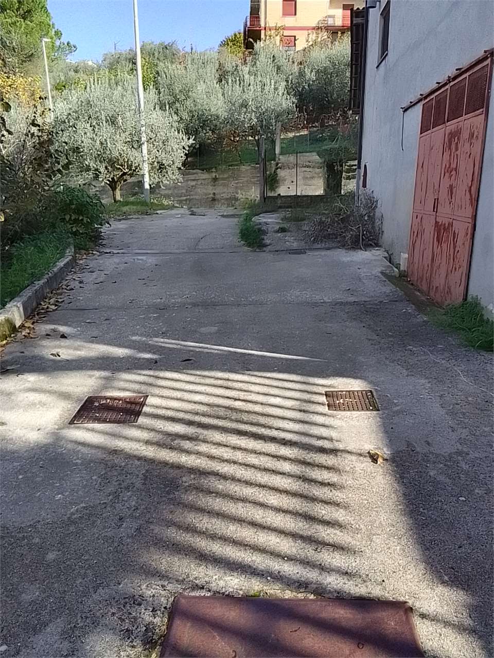 Foto annuncio 26