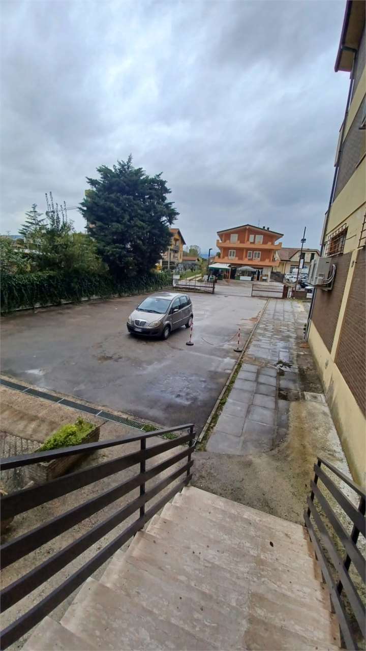Foto annuncio 7