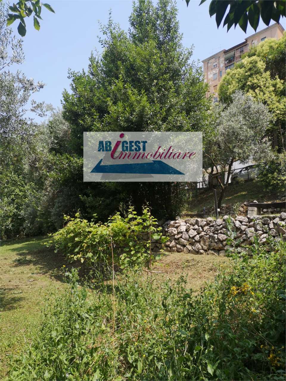 Foto annuncio 20
