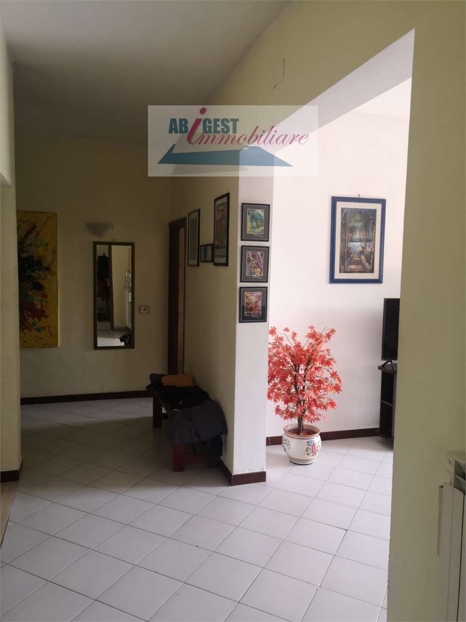 Foto annuncio 8