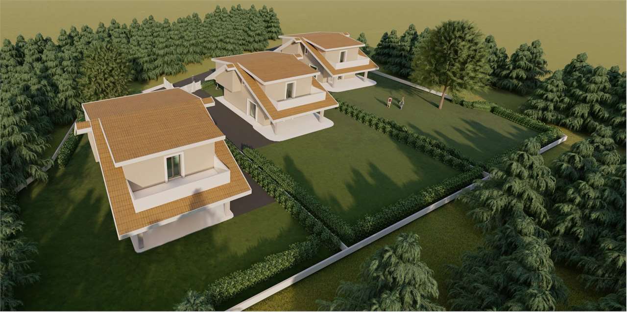 Foto annuncio 7