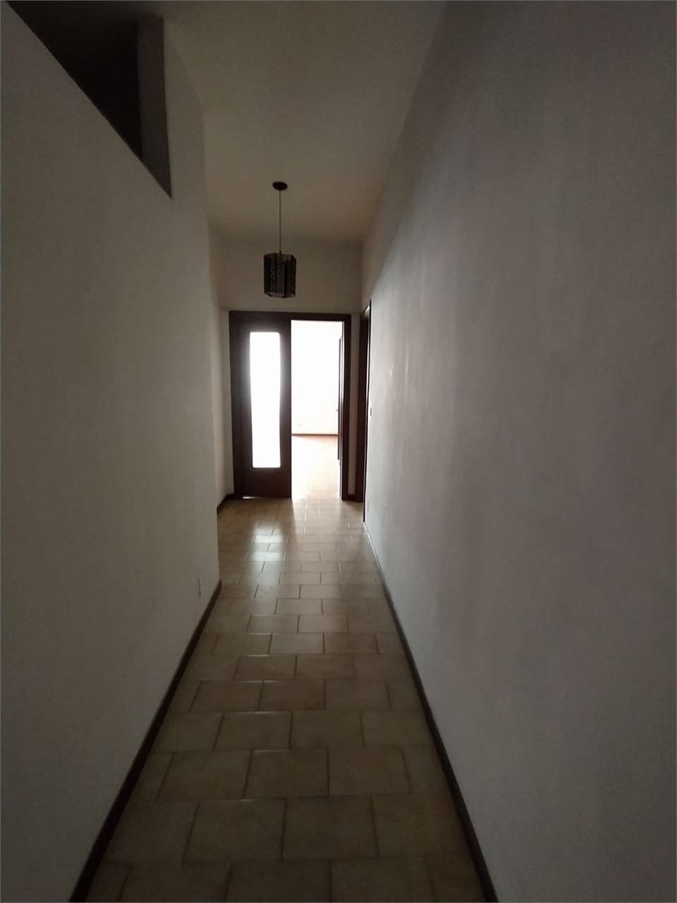 Foto annuncio 24