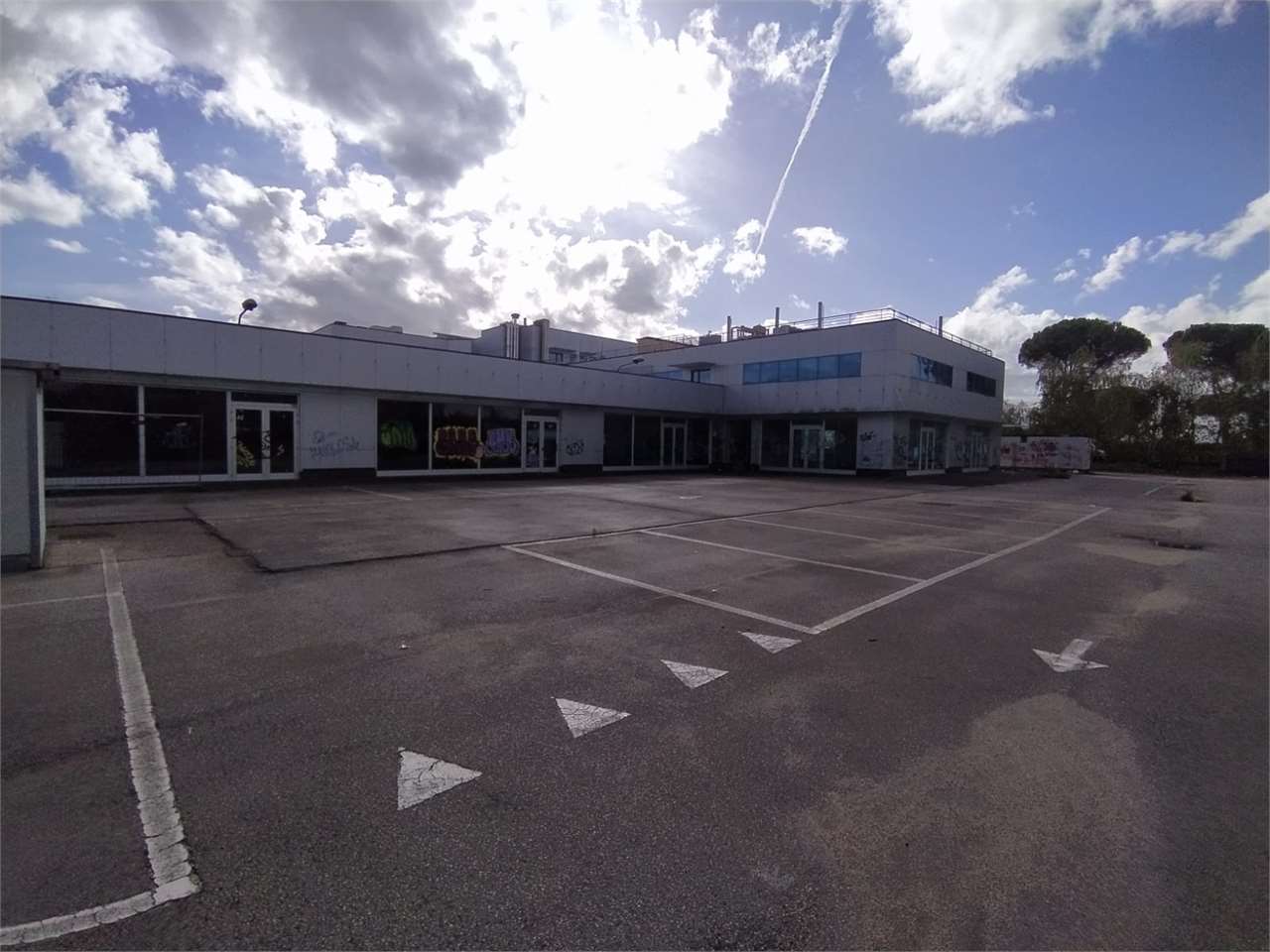Foto annuncio 26