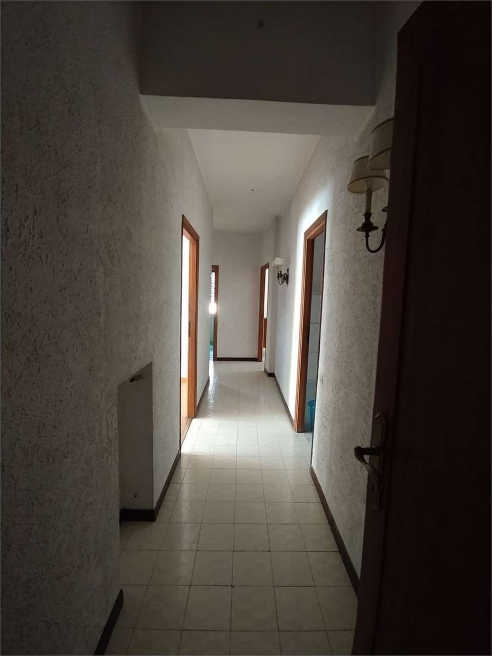 Foto annuncio 12