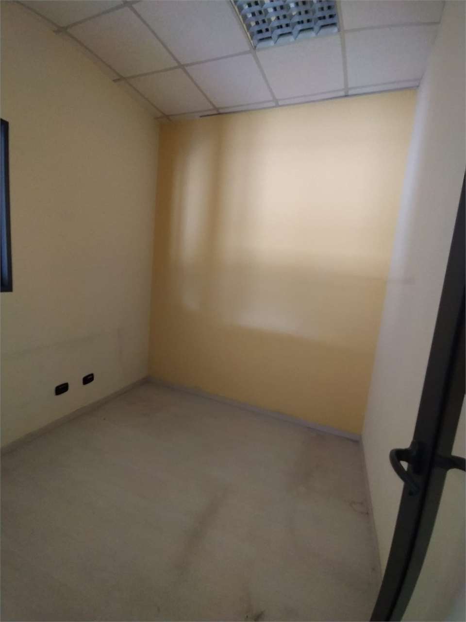 Foto annuncio 26