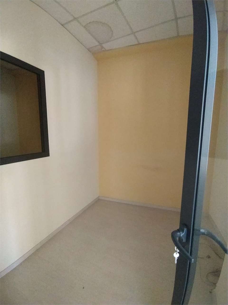 Foto annuncio 30