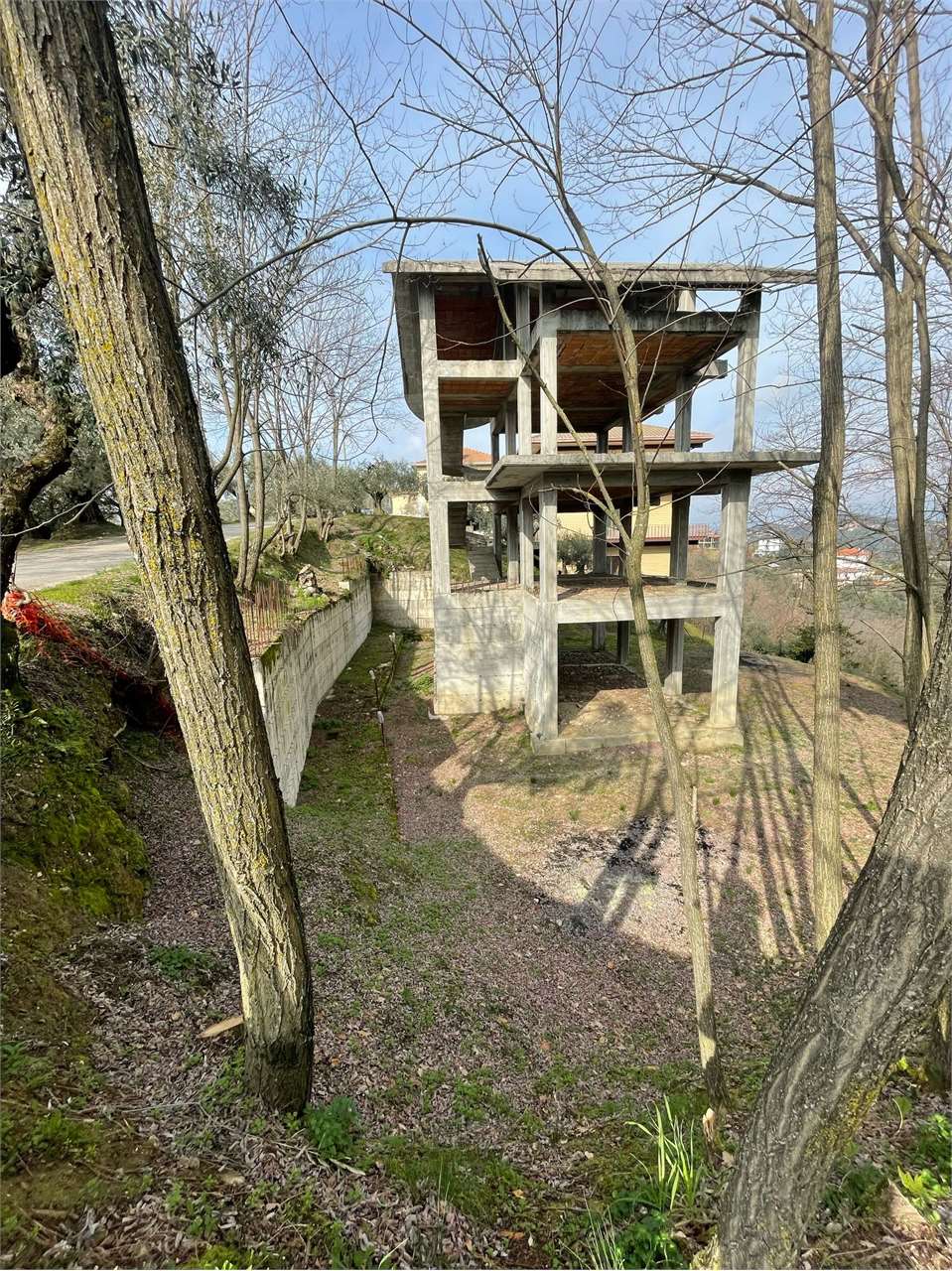 Foto annuncio 19