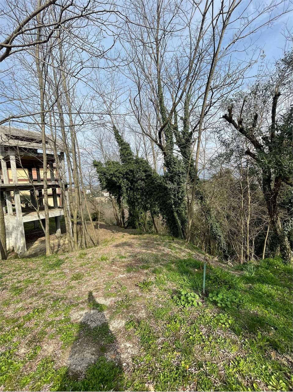 Foto annuncio 23