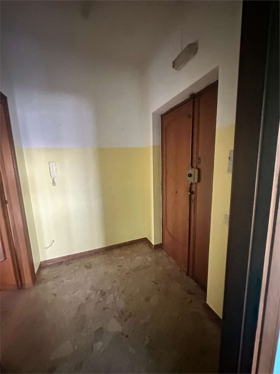 Foto annuncio 11