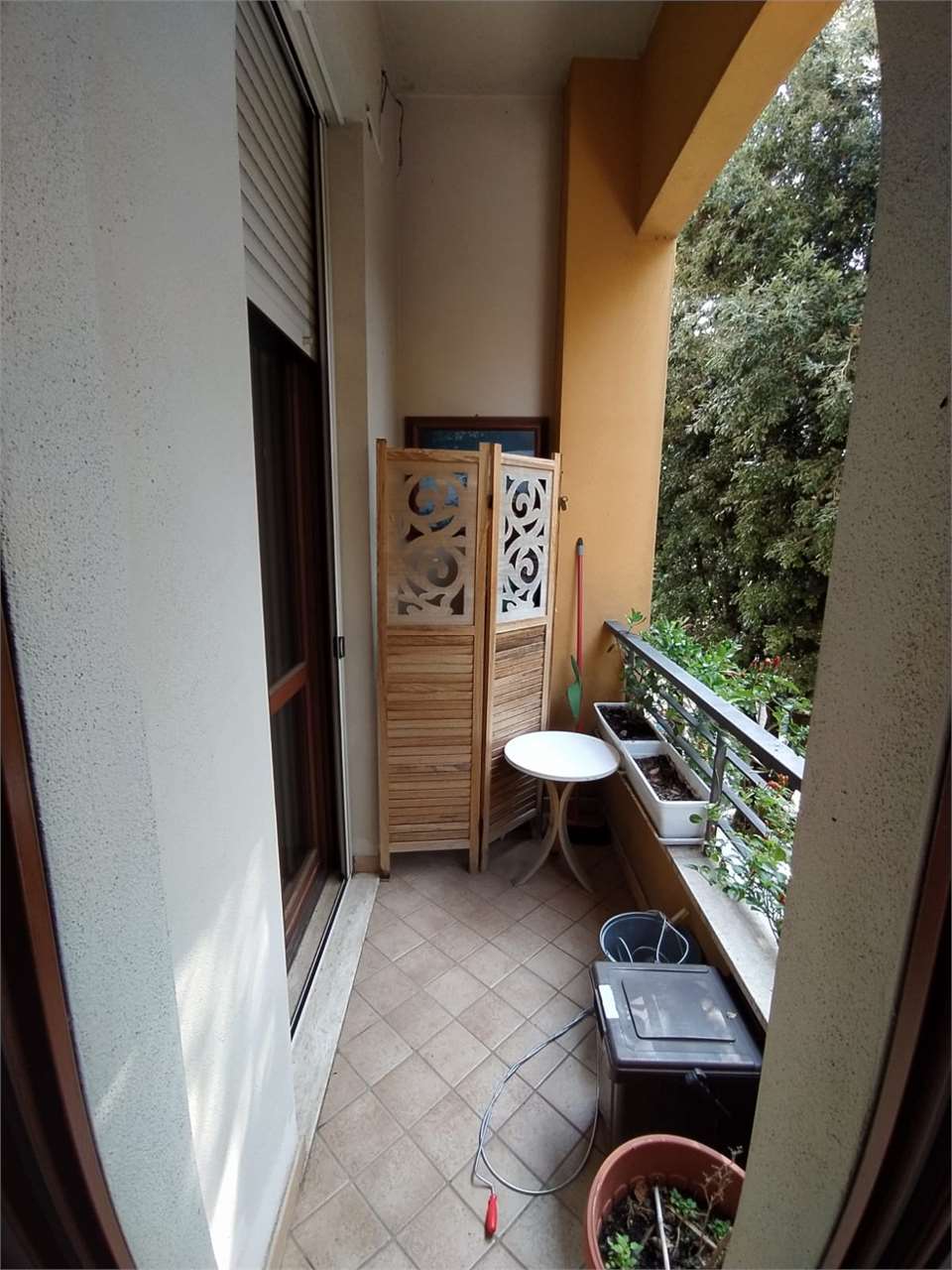 Foto annuncio 27