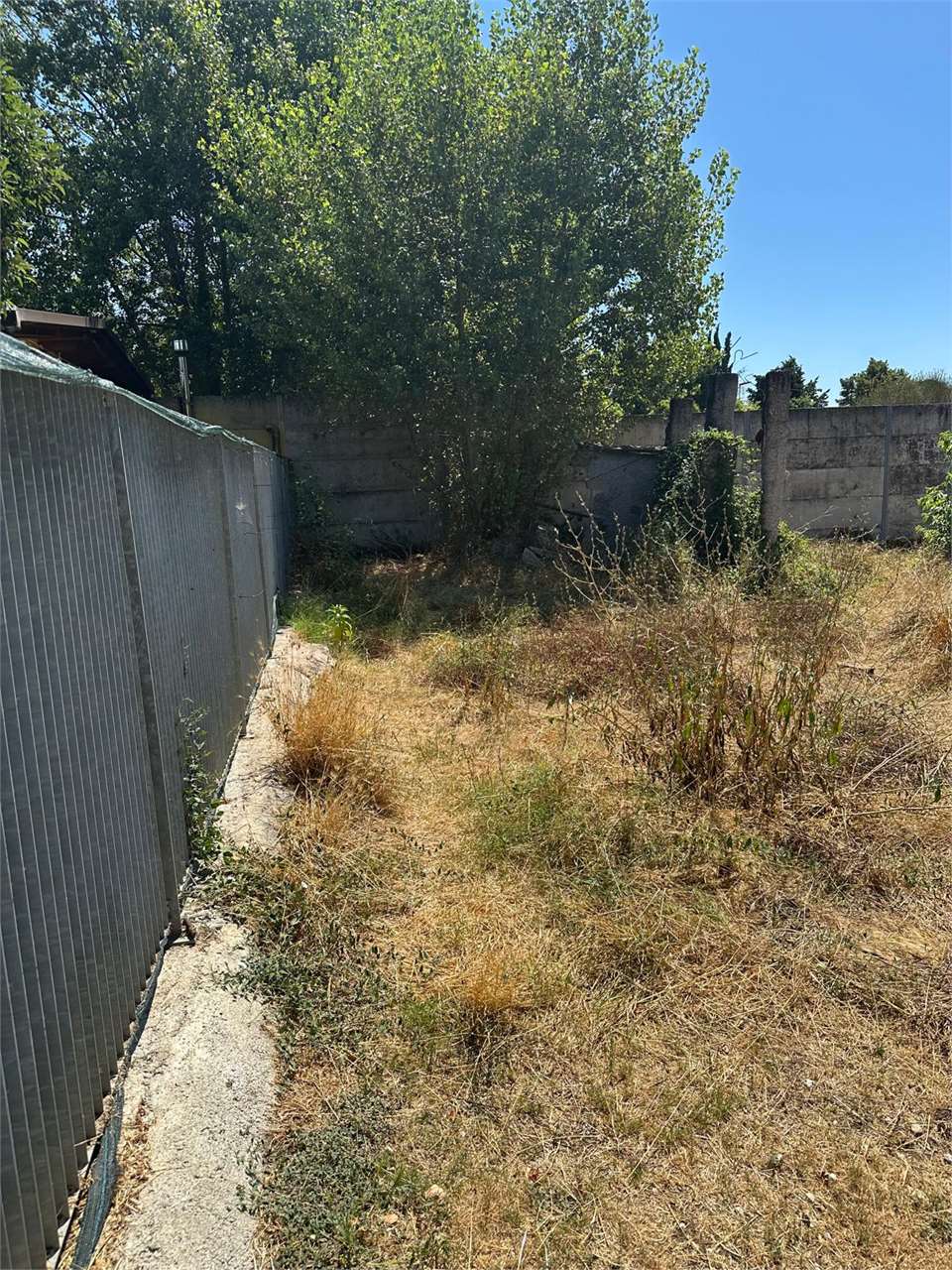 Foto annuncio 3