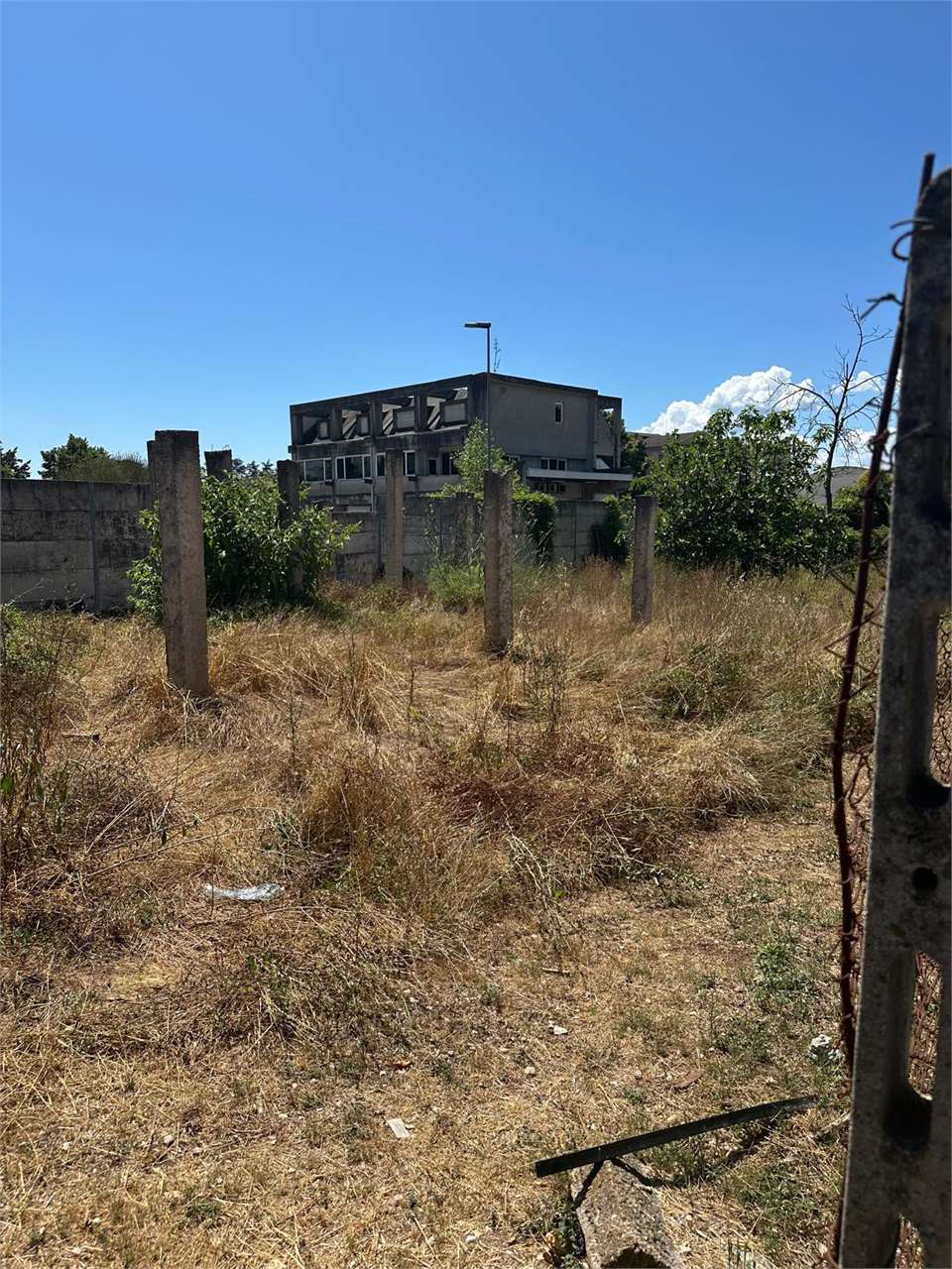 Foto annuncio 1