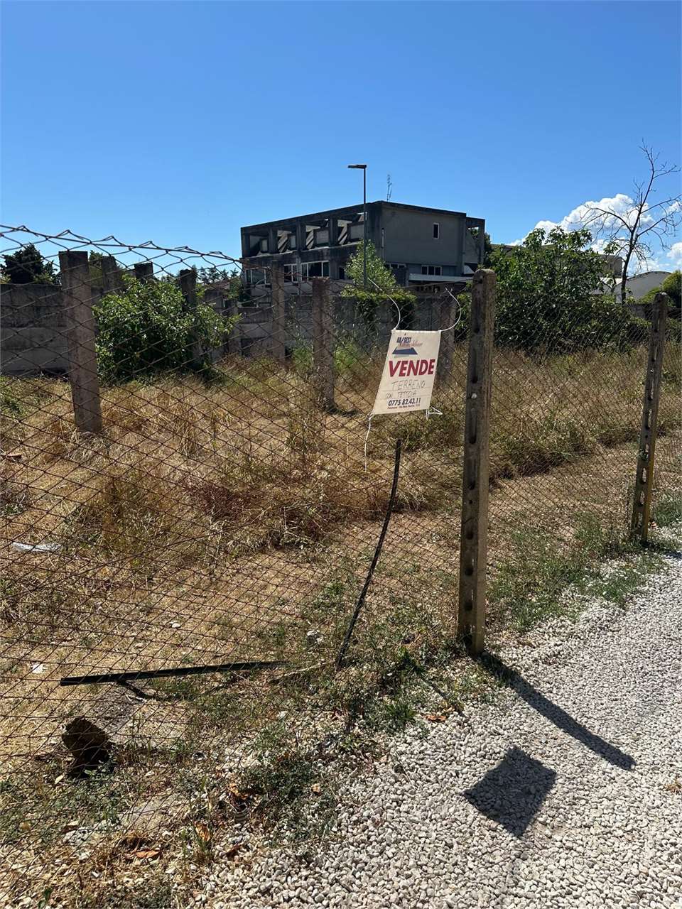 Foto annuncio 5
