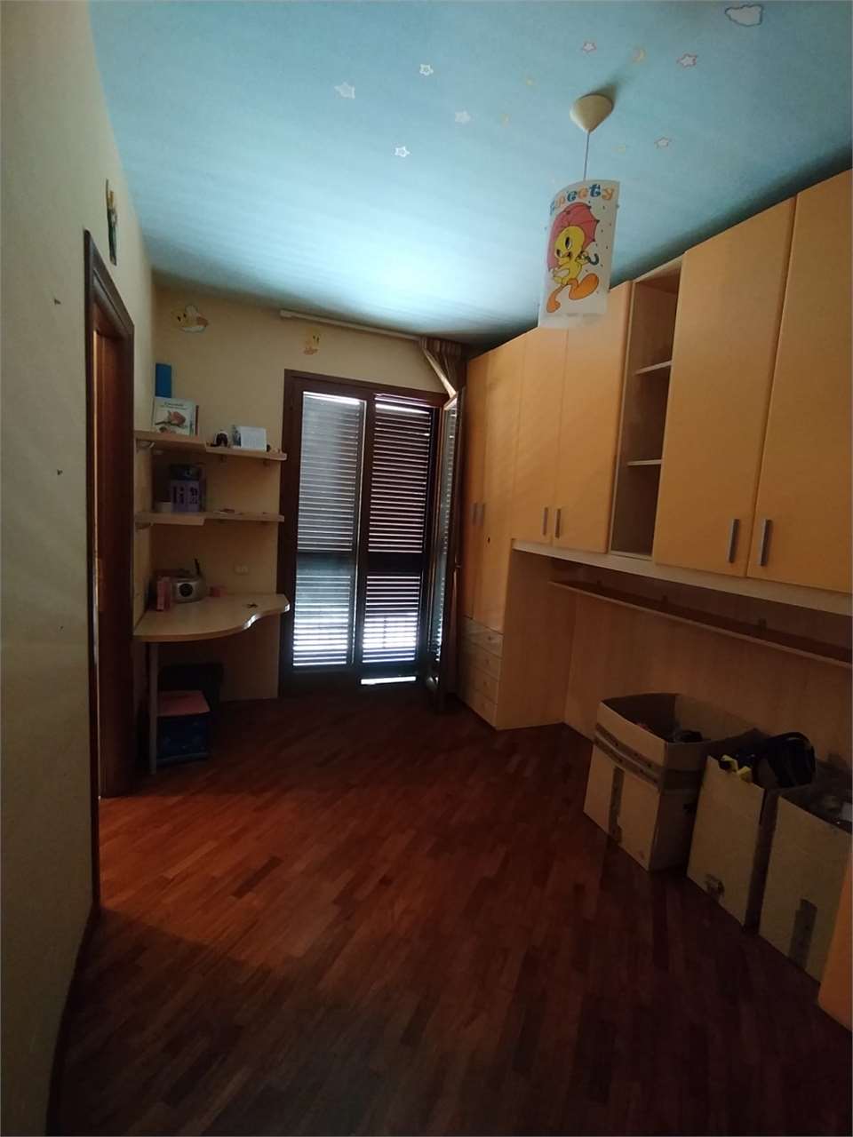 Foto annuncio 29