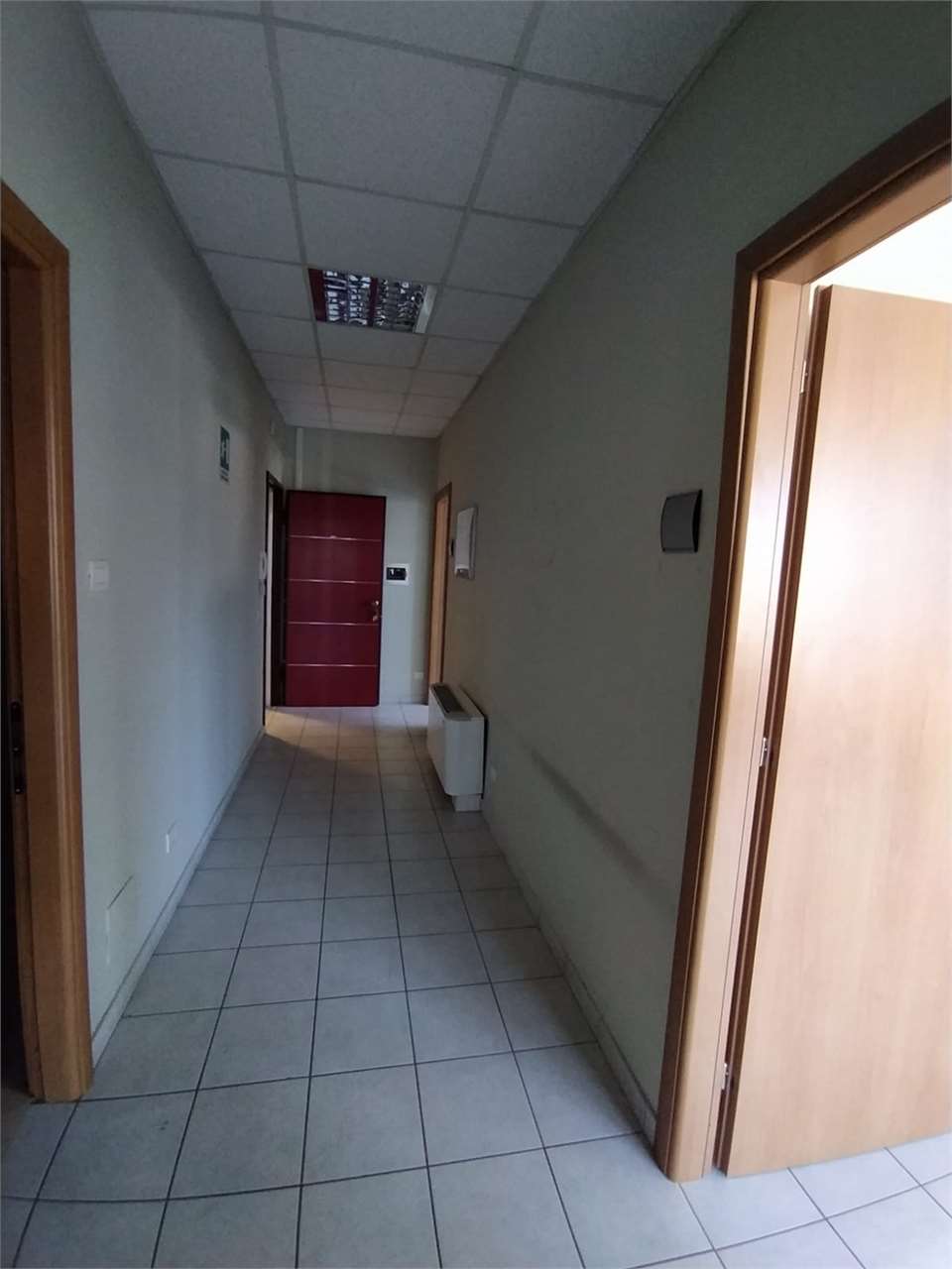 Foto annuncio 13