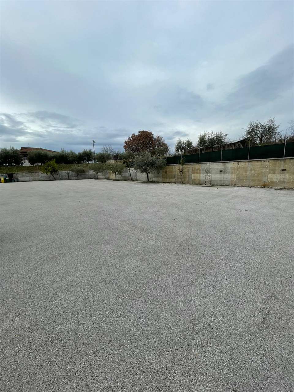 Foto annuncio 30
