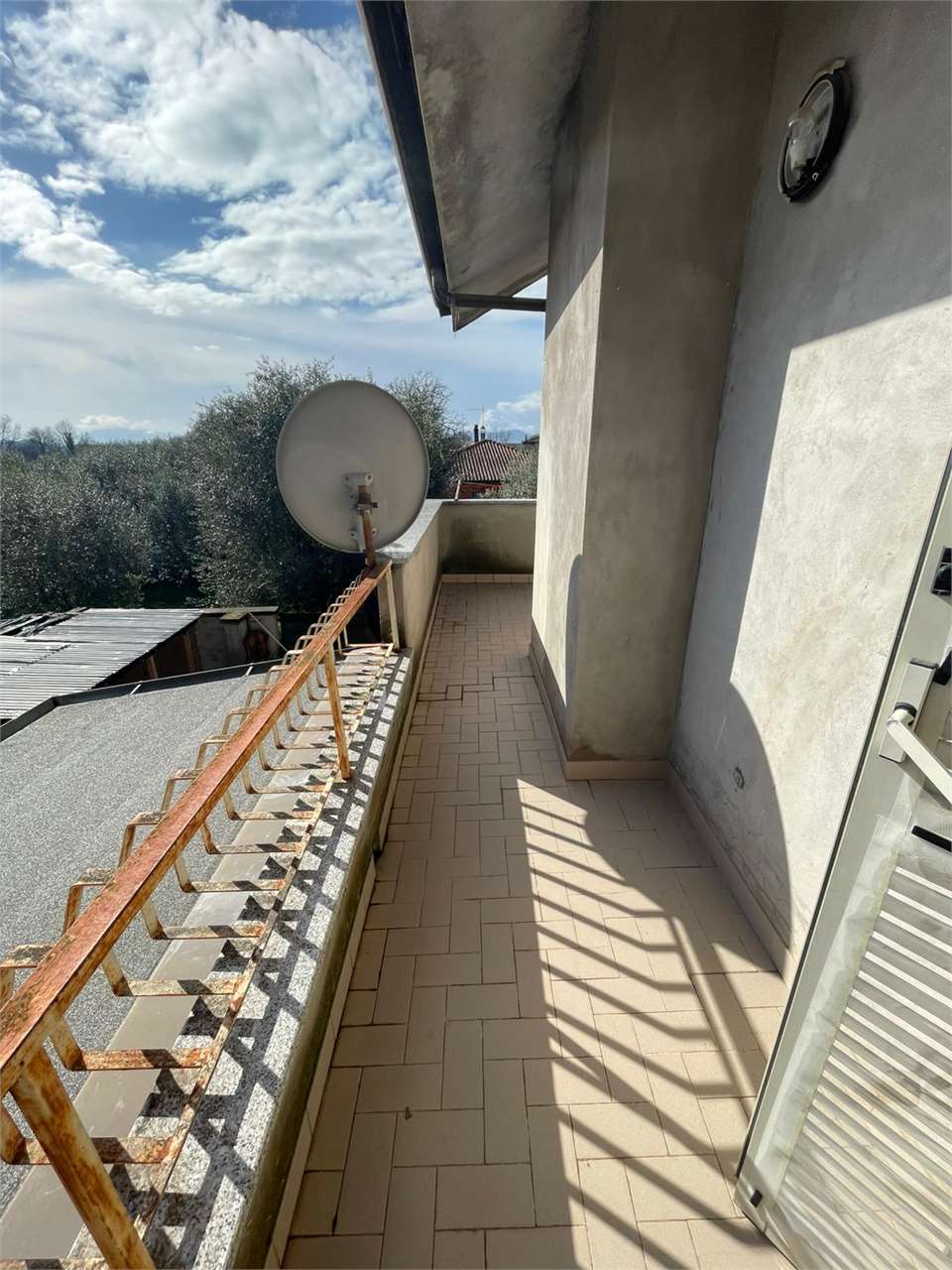 Foto annuncio 31