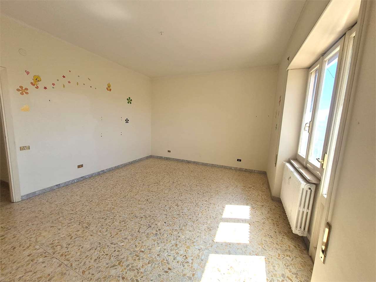 Foto annuncio 21