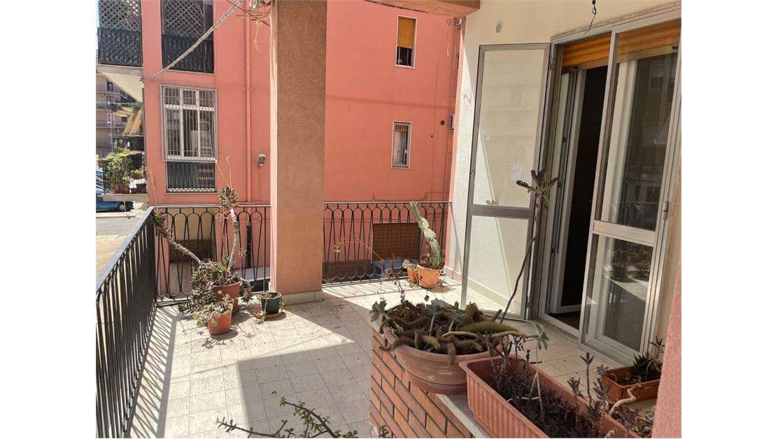 Foto annuncio 24