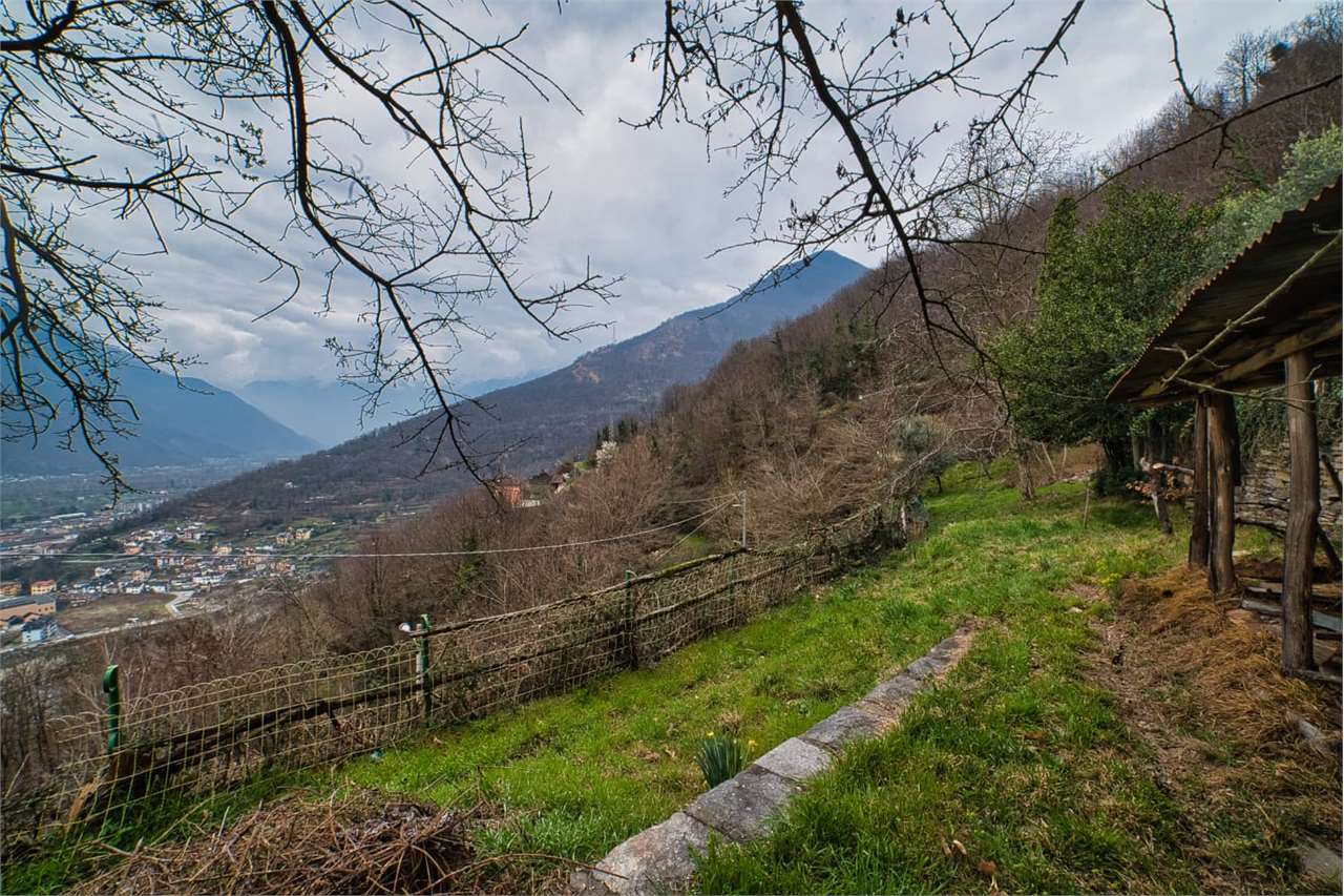 Foto annuncio 47
