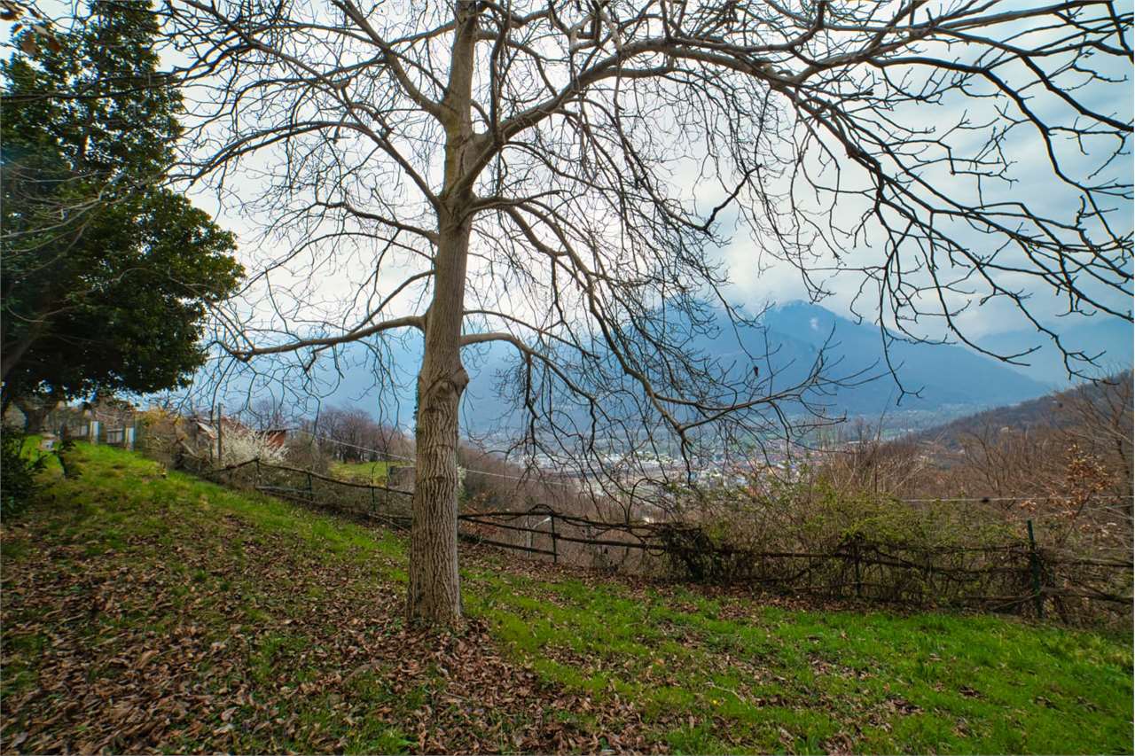 Foto annuncio 42