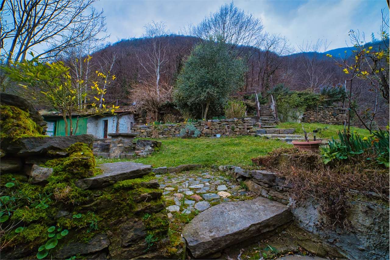 Foto annuncio 38
