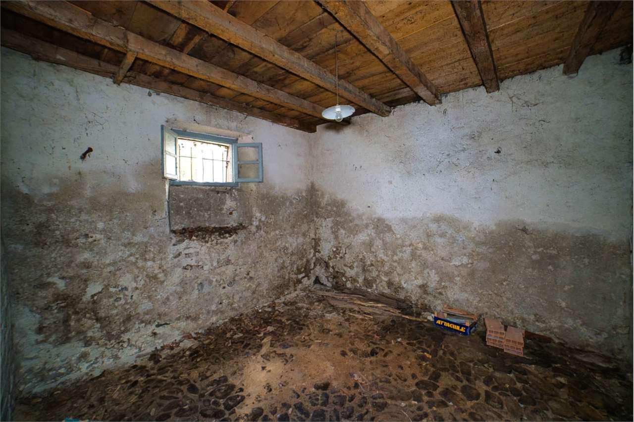 Foto annuncio 43