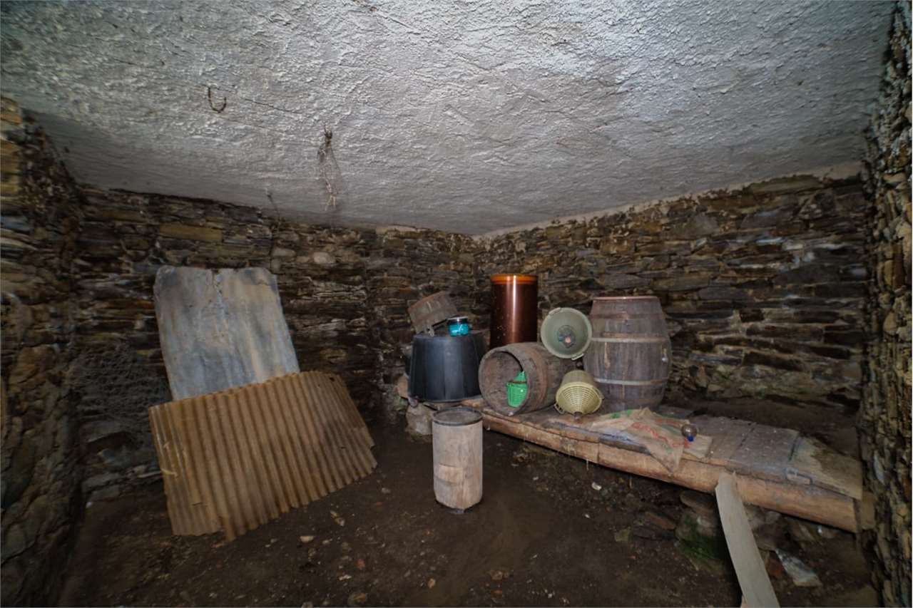 Foto annuncio 38