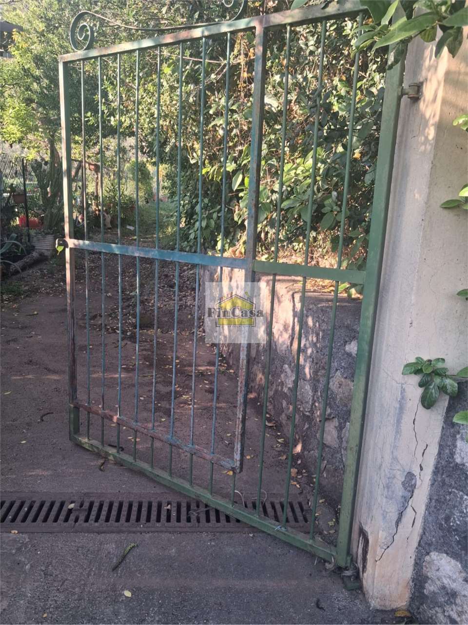 Foto annuncio 1